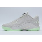 Nike LeBron XXII Ανδρικά Μπασκετικά Παπούτσια Γκρι Ανοιχτό, Φυστικί