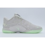 Nike LeBron XXII Ανδρικά Μπασκετικά Παπούτσια Γκρι Ανοιχτό, Φυστικί