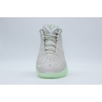 Nike LeBron XXII Ανδρικά Μπασκετικά Παπούτσια Γκρι Ανοιχτό, Φυστικί