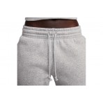 Nike Sportswear Phoenix Fleece Γυναικείο Παντελόνι Φόρμας Γκρι