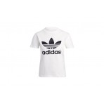 Adidas Originals Trefoil Tee (GN2899)