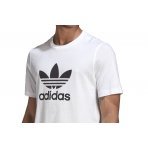 Adidas Originals Trefoil T-Shirt (GN3463)
