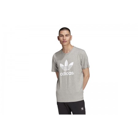 Adidas Originals Trefoil T-Shirt T-Shirt 