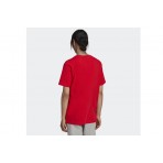 Adidas Originals Trefoil T-Shirt T-Shirt (HE9511)