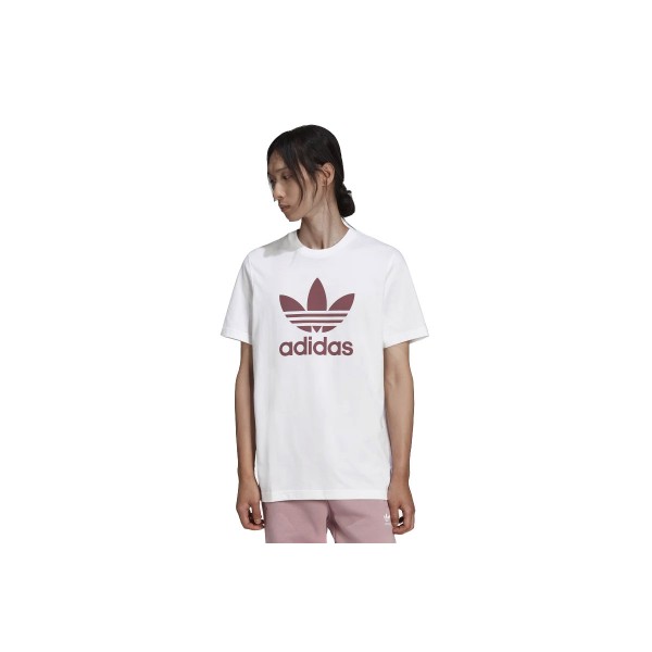 Adidas Originals Trefoil T-Shirt 