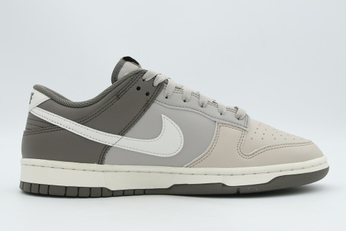 Nike Dunk Low Retro Sneakers (HF5441 009)