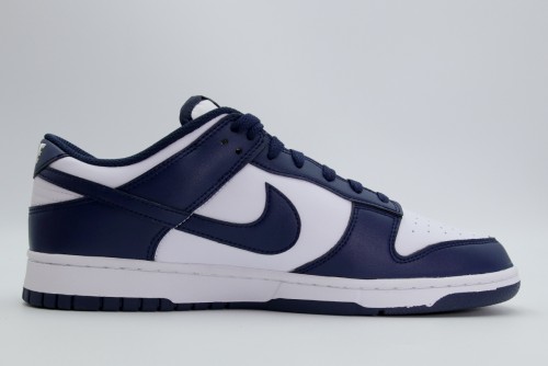 Nike Dunk Low Retro Sneakers (HF5441 107)