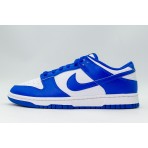 Nike Dunk Low Retro Sneakers (HF5441 112)