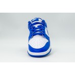 Nike Dunk Low Retro Sneakers (HF5441 112)