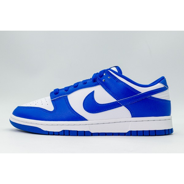 Nike Dunk Low Retro Sneakers (HF5441 112)