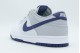Nike Dunk Low Retro Ανδρικά Sneakers Λευκά, Μπλε, Γκρι
