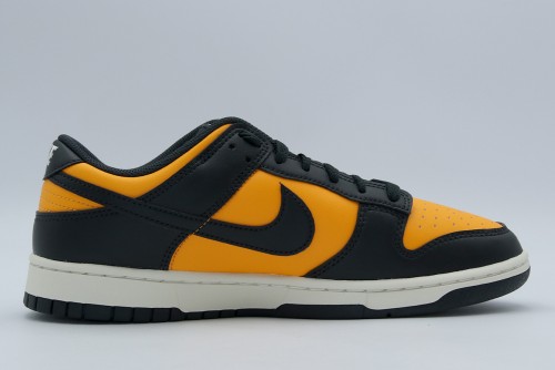 Nike Dunk Low Retro Sneakers (HF5441 700)