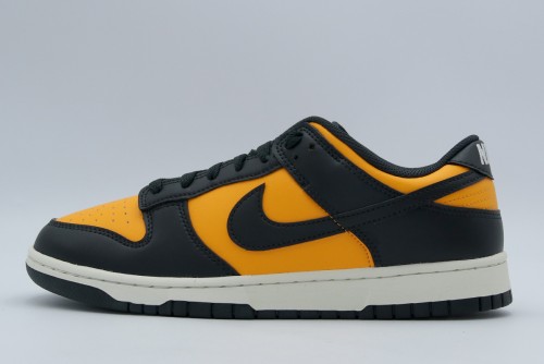 Nike Dunk Low Retro Sneakers (HF5441 700)