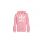 Adidas Originals Trefoil Hoodie (HK0271)