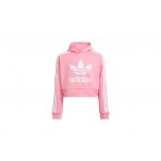 Adidas Originals Cropped Hoodie (HK0281)