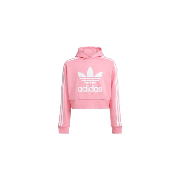 Adidas Originals Cropped Hoodie (HK0281)