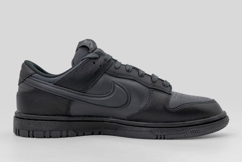 Nike Dunk Low Gore-Tex Sneakers (HQ2053 001)