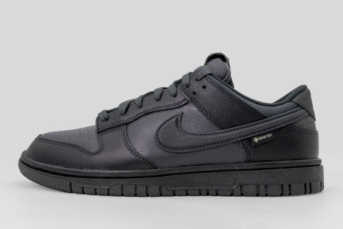Nike Dunk Low Gore-Tex Sneakers (HQ2053 001)