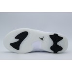 Jordan Max Aura 7 Sneakers (HQ2091 100)