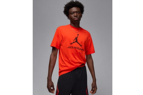 Jordan Sport Dri-Fit T-Shirt Ανδρικό (HQ9091 891)