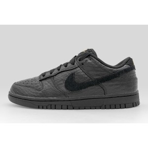 Nike Dunk Low Sneakers (HV4388 001)