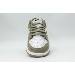 Nike Dunk Low Sneakers (IB3079 300)