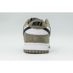 Nike Dunk Low Sneakers (IB3079 300)
