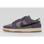 Nike Dunk Low Retro Se Sneakers (IB6399 201)