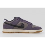 Nike Dunk Low Retro Se Sneakers (IB6399 201)