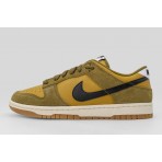 Nike Dunk Low Retro Se Sneakers (IB6399 300)