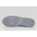 Nike Dunk Low Retro Special Edition Ανδρικά Sneakers Γκρι