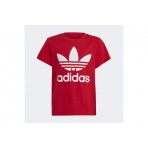Adidas Originals Trefoil Tee T-Shirt (IB9929)