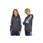 Adidas Originals Hoodie (IC3064)