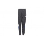 Adidas Originals Track Pants Παντελόνι Φόρμας (IC3066)