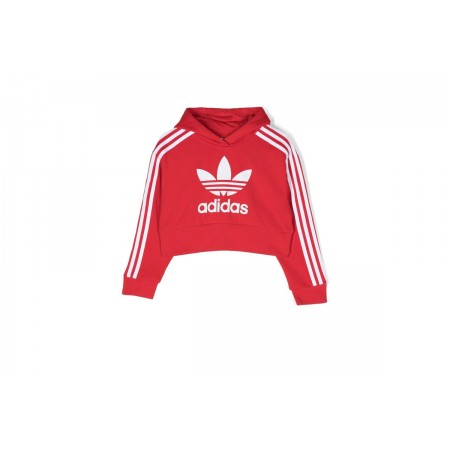 Adidas Originals Cropped Hoodie 