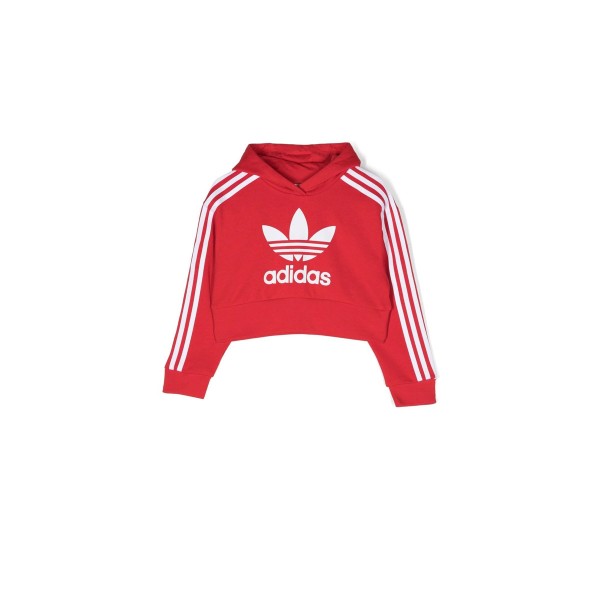 Adidas Originals Cropped Hoodie (IC3097)