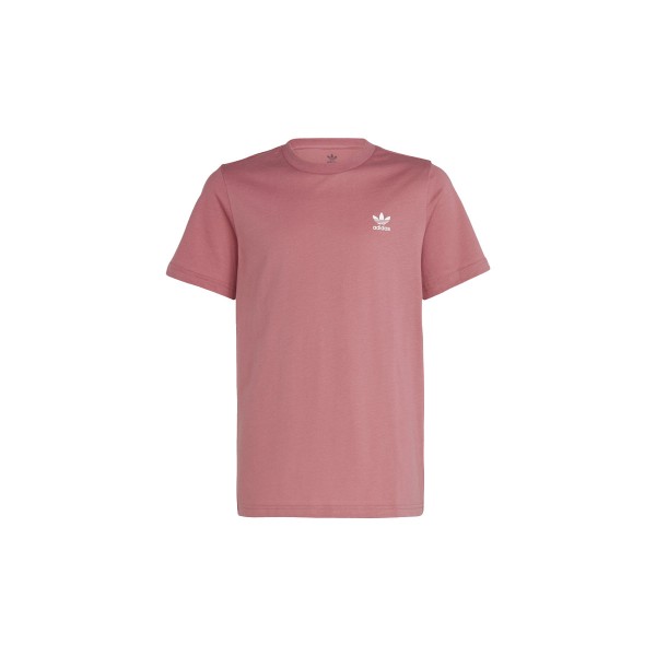 Adidas Originals Tee T-Shirt (IC3134)