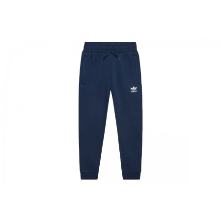 Adidas Originals Pants 