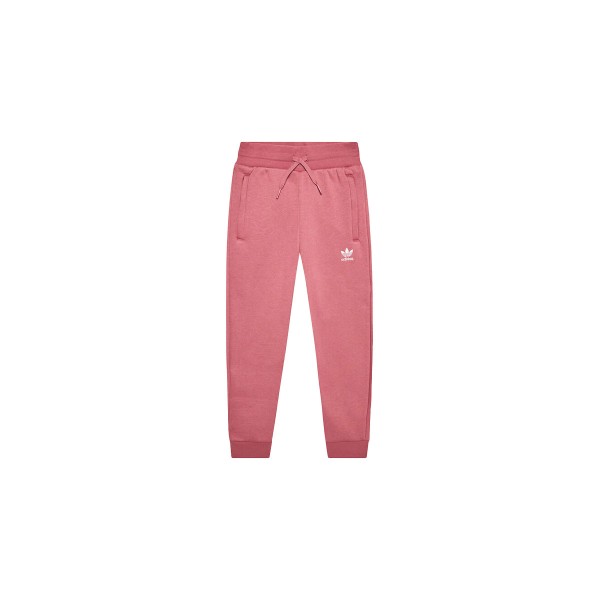 Adidas Originals Pants Παντελόνι Φόρμας (IC6136)