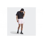 Adidas Originals Adicolor Classics Back-Front Trefoil T-Shirt (II5760)