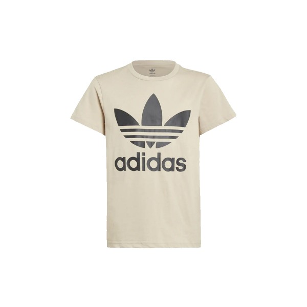 Adidas Originals Trefoil Tee (IJ7179)