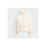 Adidas Originals Regen Cropped Μπουφάν Puffer Γυναικείο (IJ8200)