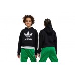 Adidas Originals Cropped Hoodie (IJ9719)