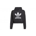 Adidas Originals Cropped Hoodie (IJ9719)