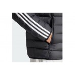 Adidas Originals Padpuff Stand Μπουφάν Puffer Ανδρικό (IL2565)