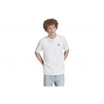 Adidas Originals Adicolor Trefoil Boxy T-Shirt Ανδρικό (IM4513)