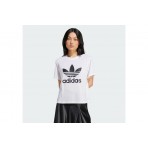 Adidas Originals Adicolor Trefoil Boxy Κοντομάνικο T-Shirt Λευκό
