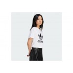 Adidas Originals Adicolor Trefoil Boxy Κοντομάνικο T-Shirt Λευκό