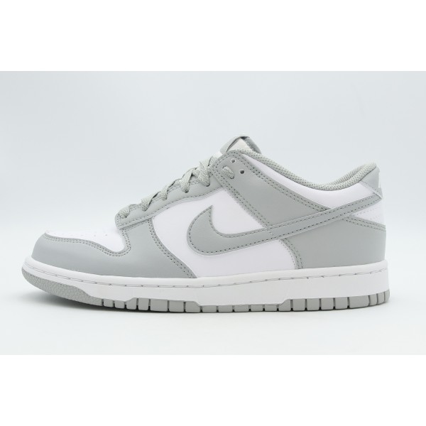 Nike Dunk Low Sneakers (IU7766 123)