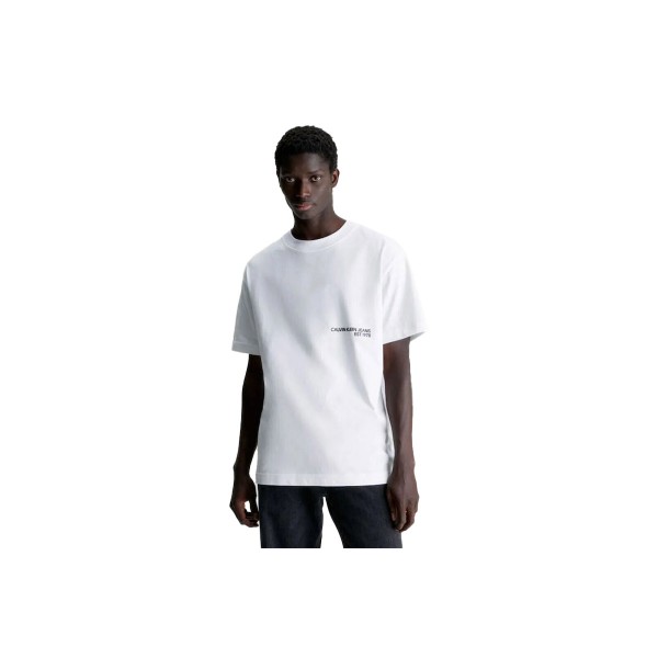 Calvin Klein T-Shirt Ανδρικό (J30J324652 YAF)